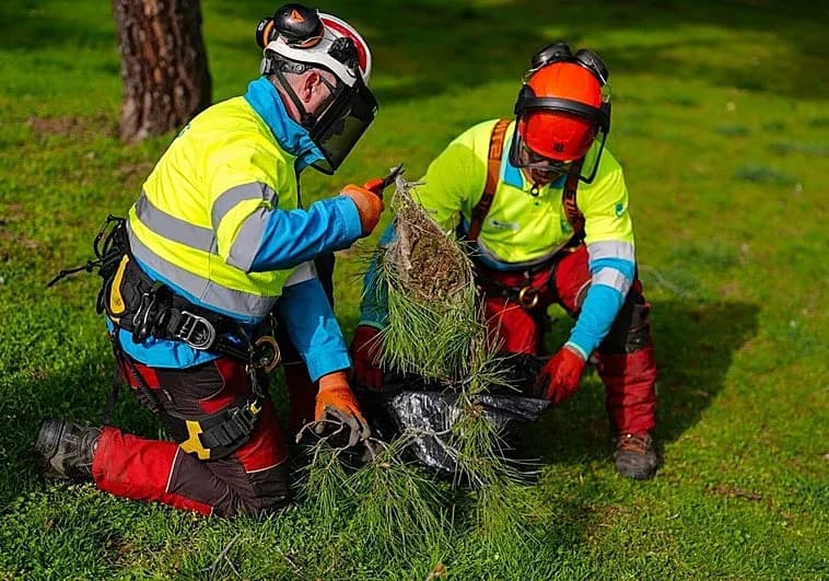Fachada y cubierta de vivienda